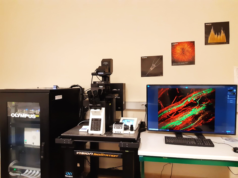 Microscop&iacute;a &Oacute;ptica Avanzada