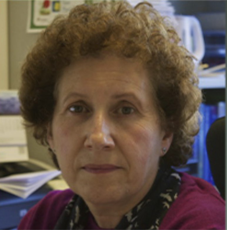 Isabel D&iacute;az Rodr&iacute;guez