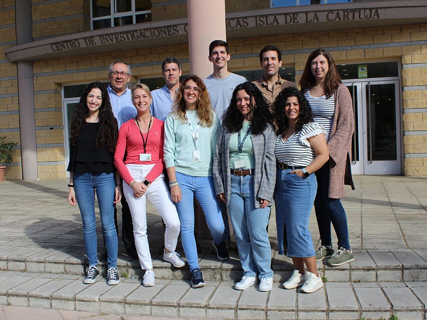 Grupo Se&ntilde;alizaci&oacute;n Redox en plantas