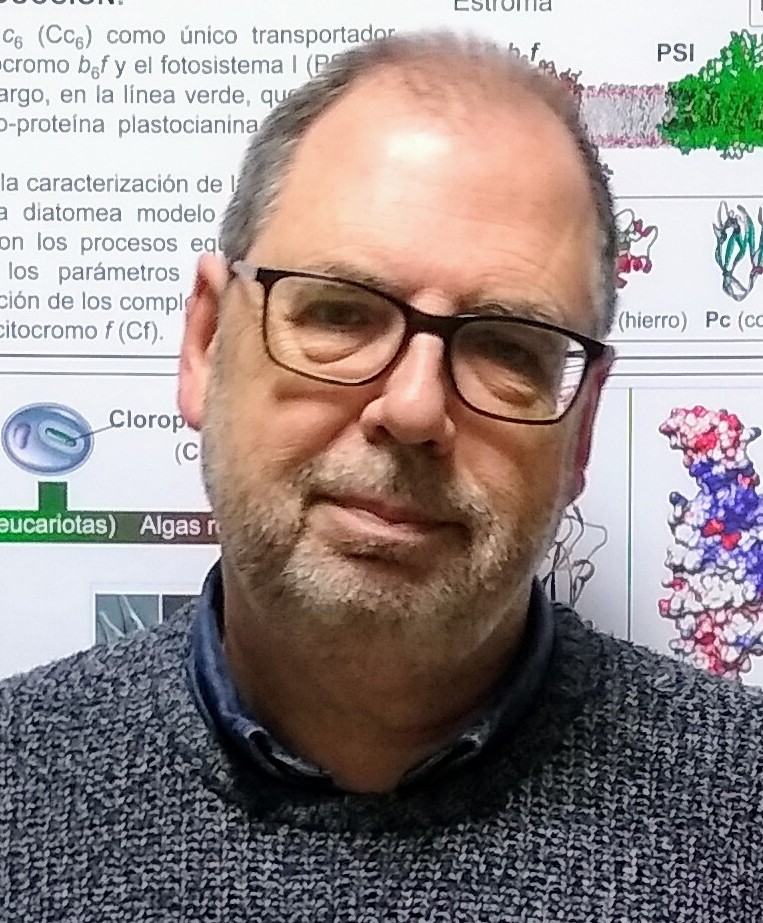 Jose Antonio Navarro Carruesco